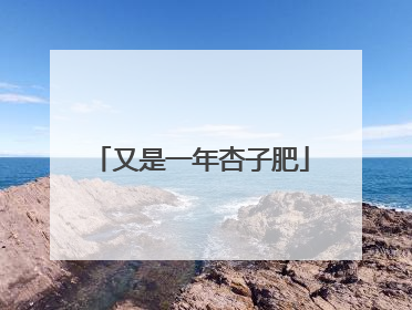 又是一年杏子肥