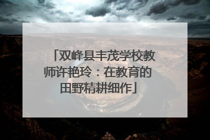 双峰县丰茂学校教师许艳玲：在教育的田野精耕细作