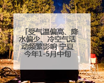 受气温偏高、降水偏少、冷空气活动频繁影响 宁夏今年1-5月中旬现10次定级沙尘天气过程