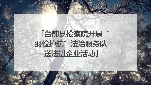 台前县检察院开展“羽检护航”法治服务队送法进企业活动