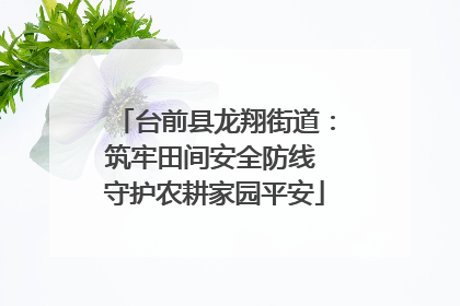 台前县龙翔街道：筑牢田间安全防线 守护农耕家园平安