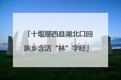 十堰郧西县湖北口回族乡念活“林”字经