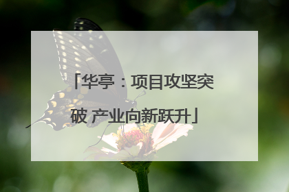 华亭：项目攻坚突破 产业向新跃升