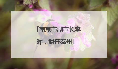 南京市副市长李晖，调任泰州