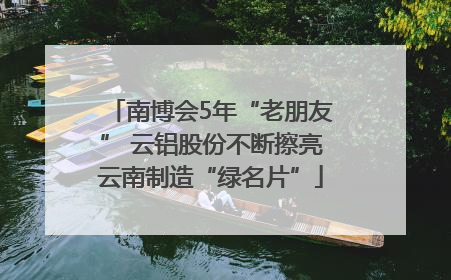 南博会5年“老朋友” 云铝股份不断擦亮云南制造“绿名片”