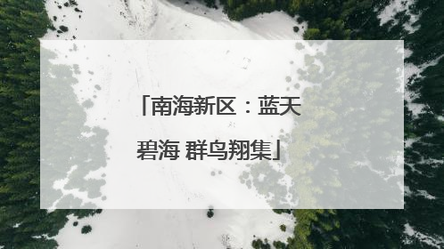南海新区：蓝天碧海 群鸟翔集