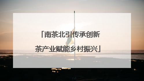 南茶北引传承创新 茶产业赋能乡村振兴