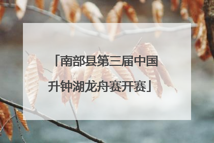 南部县第三届中国升钟湖龙舟赛开赛