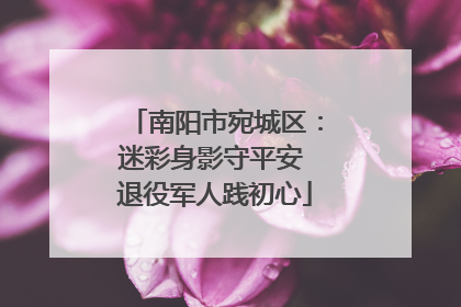 南阳市宛城区：迷彩身影守平安 退役军人践初心