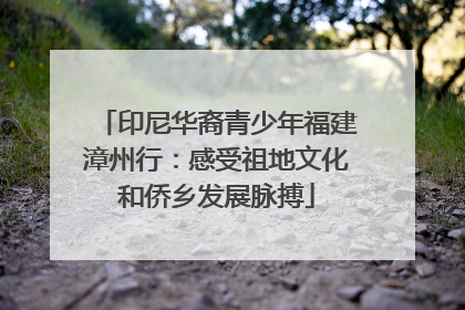 印尼华裔青少年福建漳州行：感受祖地文化和侨乡发展脉搏