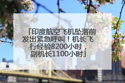 印度航空飞机坠落前发出紧急呼叫！机长飞行经验8200小时，副机长1100小时
