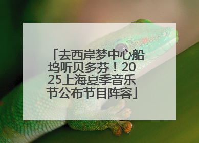 去西岸梦中心船坞听贝多芬！2025上海夏季音乐节公布节目阵容