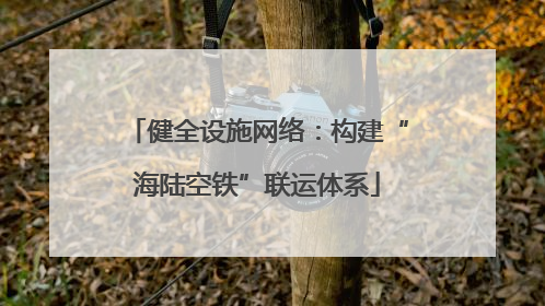 健全设施网络：构建“海陆空铁”联运体系