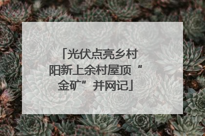 光伏点亮乡村 阳新上余村屋顶“金矿”并网记