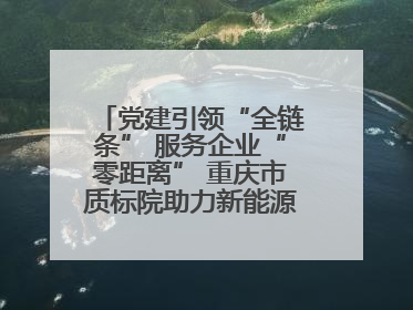党建引领“全链条” 服务企业“零距离” 重庆市质标院助力新能源汽车产业链提升质量管理水平