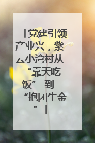 党建引领产业兴，紫云小湾村从 “靠天吃饭” 到 “抱团生金”