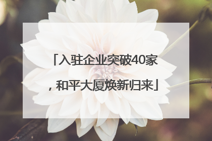 入驻企业突破40家，和平大厦焕新归来