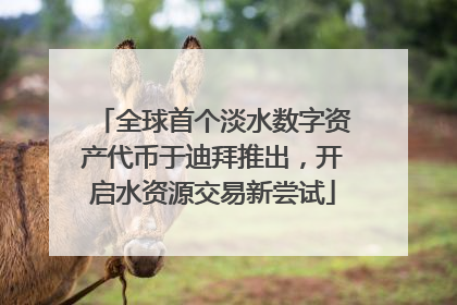 全球首个淡水数字资产代币于迪拜推出，开启水资源交易新尝试