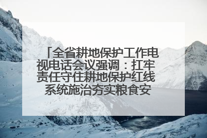 全省耕地保护工作电视电话会议强调：扛牢责任守住耕地保护红线 系统施治夯实粮食安全根基 王宁作出批示 王予波出席并讲话