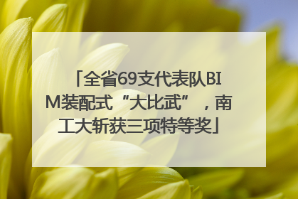 全省69支代表队BIM装配式“大比武”，南工大斩获三项特等奖