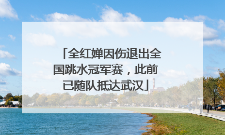 全红婵因伤退出全国跳水冠军赛，此前已随队抵达武汉
