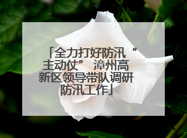 全力打好防汛“主动仗” 漳州高新区领导带队调研防汛工作