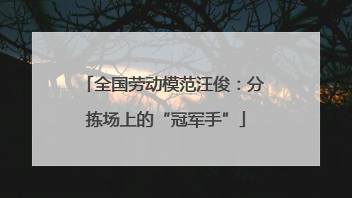 全国劳动模范汪俊：分拣场上的“冠军手”