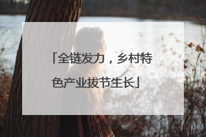 全链发力，乡村特色产业拔节生长