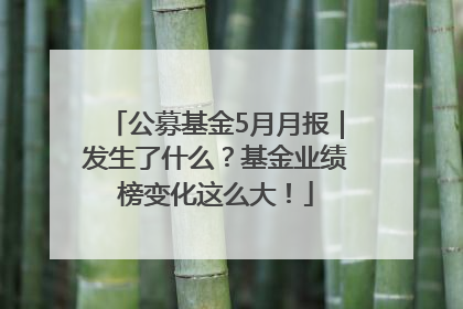公募基金5月月报｜发生了什么？基金业绩榜变化这么大！