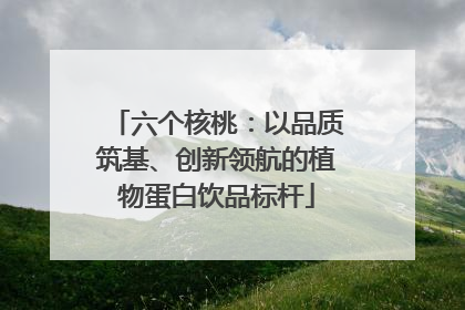 六个核桃：以品质筑基、创新领航的植物蛋白饮品标杆