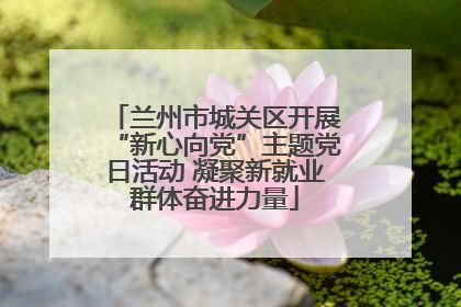 兰州市城关区开展“新心向党”主题党日活动 凝聚新就业群体奋进力量