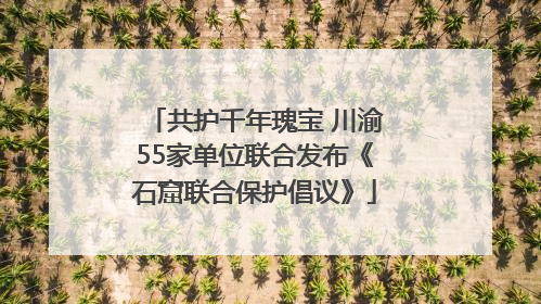 共护千年瑰宝 川渝55家单位联合发布《石窟联合保护倡议》