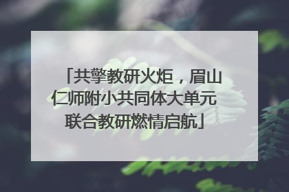 共擎教研火炬，眉山仁师附小共同体大单元联合教研燃情启航