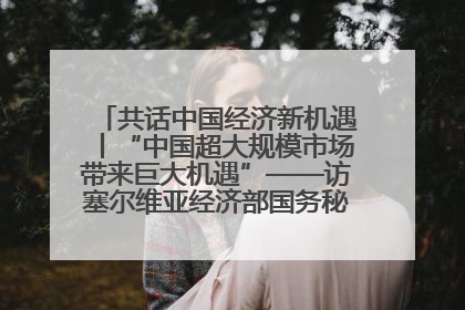 共话中国经济新机遇丨“中国超大规模市场带来巨大机遇”——访塞尔维亚经济部国务秘书尼科利奇