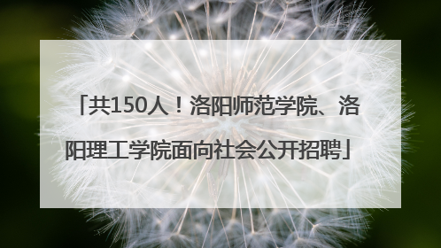 共150人！洛阳师范学院、洛阳理工学院面向社会公开招聘