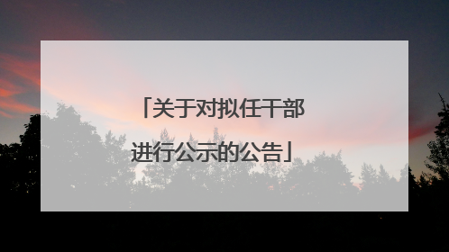关于对拟任干部进行公示的公告