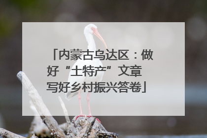 内蒙古乌达区：做好“土特产”文章 写好乡村振兴答卷