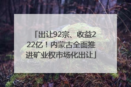 出让92宗、收益222亿！内蒙古全面推进矿业权市场化出让