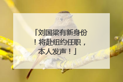 刘国梁有新身份！将赴纽约任职，本人发声！