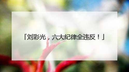 刘彩光，六大纪律全违反！