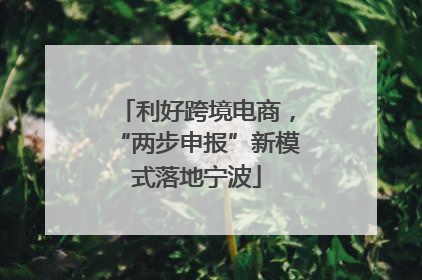 利好跨境电商，“两步申报”新模式落地宁波