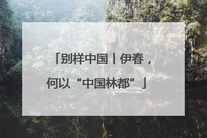 别样中国丨伊春，何以“中国林都”