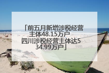 前五月新增涉税经营主体48.15万户 四川涉税经营主体达534.99万户