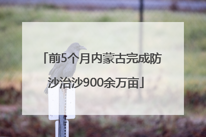 前5个月内蒙古完成防沙治沙900余万亩