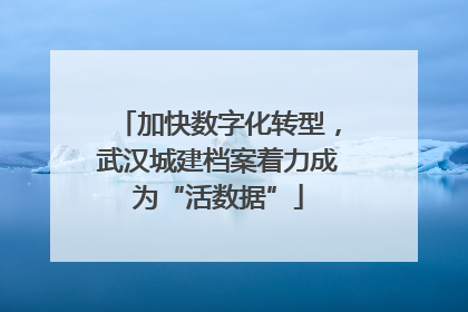 加快数字化转型，武汉城建档案着力成为“活数据”