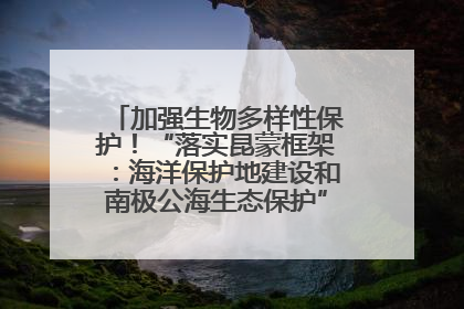 加强生物多样性保护！“落实昆蒙框架：海洋保护地建设和南极公海生态保护”主题论坛将举办