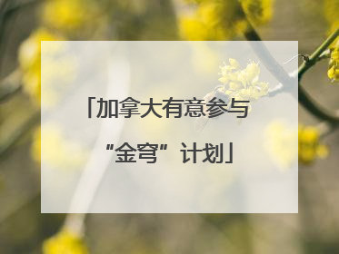 加拿大有意参与“金穹”计划