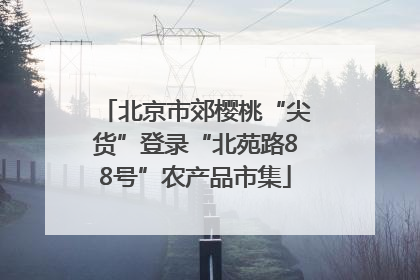北京市郊樱桃“尖货”登录“北苑路88号”农产品市集