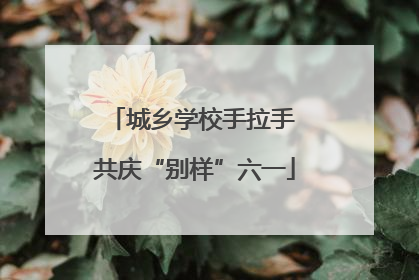 城乡学校手拉手 共庆“别样”六一
