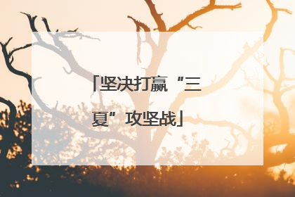 坚决打赢“三夏”攻坚战